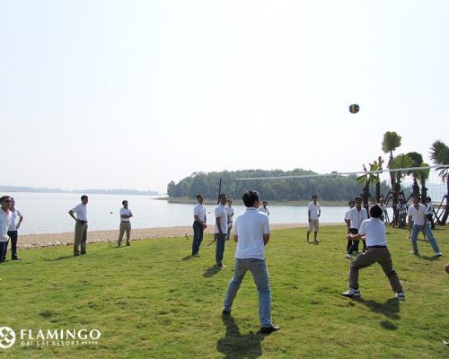 combo-tour-flamingo-cat-ba-resort-gala-su-kien-team-building-4